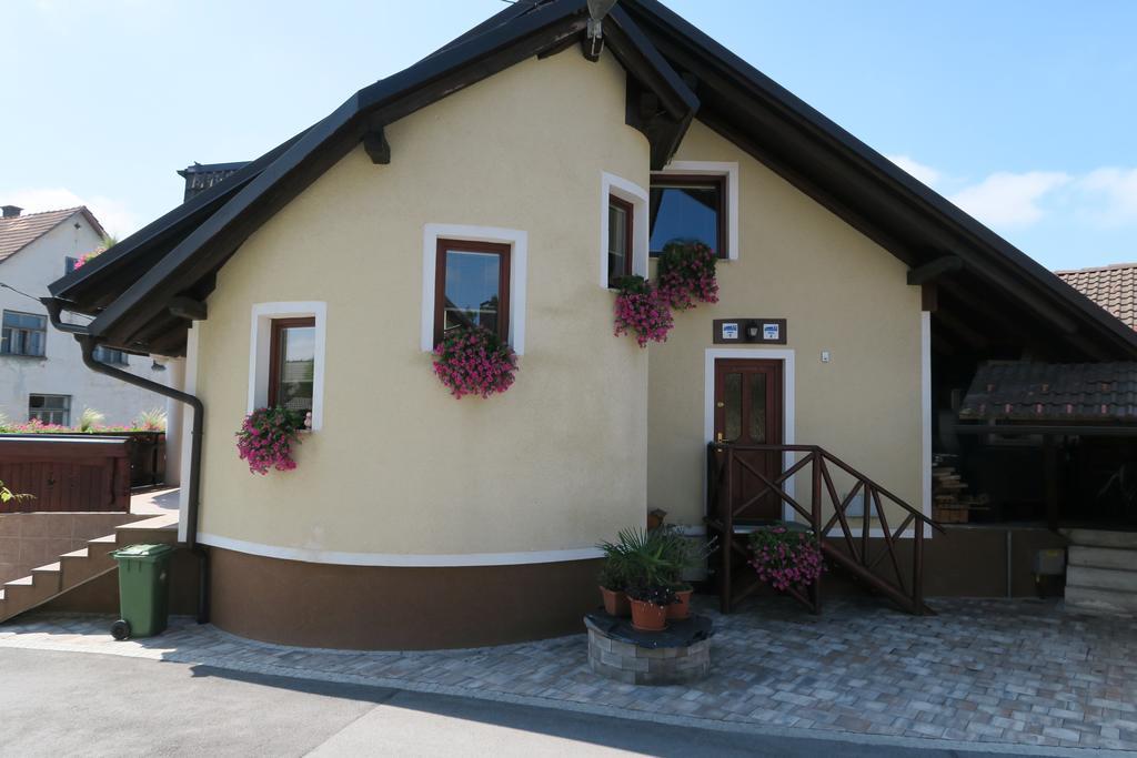 Gostilna Turk Hotedrsica Exterior foto